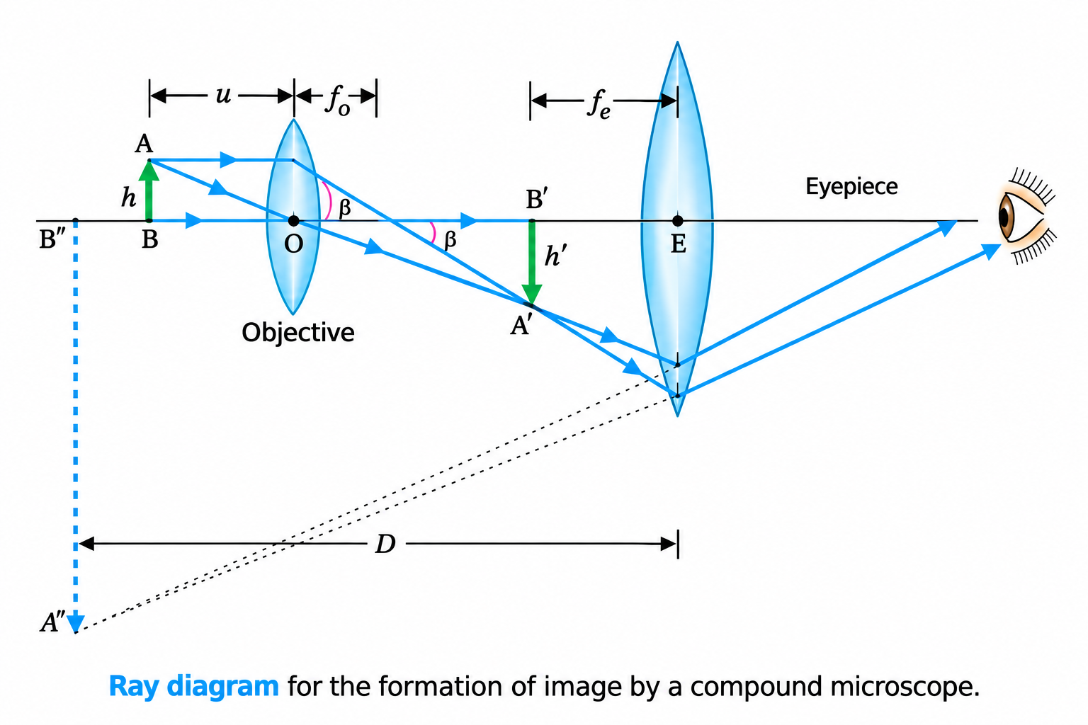 Figure 9.24: Ray diagram for the formation of image by a compound microscope.